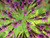 Jamie S.'s profile image