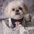 Idalia Garcia's profile image