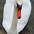 Sue Macauley Atwell's profile image