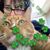 Barb McDevitt's profile image