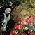 Julie Barrios's profile image