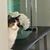 Kathy Battaglia's profile image