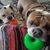 Beth Porzelt's profile image