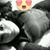 Marichuy Guzm'an's profile image