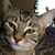 Mandy Johnson's profile image