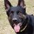 Phyllis Ashley Beasley's profile image