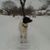 Lindsey Kriete's profile image