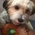 Yoshi Morimoto's profile image