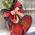 Terri Corcoran Schroeder's profile image