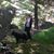 Tara Gustafson's profile image