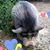 Julie Beauchat's profile image