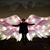 Paula Higdon-Miller's profile image