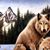 Dina Shapiro's profile image