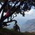 Candita Huckleberry's profile image