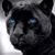 Jason Aycoth's profile image