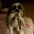 Christine Margalis's profile image
