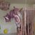 Paula Beaman-Dittmer's profile image