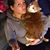 Desiree Green's profile image