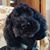 Sheila Crowley's profile image