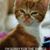 Susan Phillips's profile image