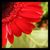 Azimah Azizan's profile image