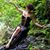 Karen Elizabeth Hamill's profile image