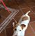 Rosaria Brachi's profile image