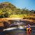 Rogerio Mello's profile image