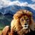 Scott Shoemaker's profile image