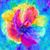 Nedra Olenick's profile image