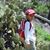 Daniel Swaby's profile image