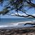 Linda VanDemark's profile image