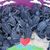 James D. Crosson's profile image