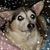 Sandy Meyberg Hatley's profile image