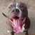 Destry Hebert's profile image