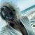 Carrie McIntire's profile image