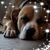 Sue Comstock Corron's profile image