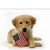 Carolyn Wesley Thompson's profile image