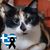 Andrea Pappadackis Kjos's profile image