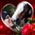 Felicia Cruz's profile image