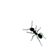 Hairul Nizam's profile image