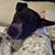 Christine Campbell's profile image
