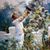 Debra Pangaro Pesout's profile image