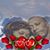 Sylvia Jackson's profile image