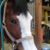 Karen Luzzi's profile image