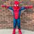 Allison Placke Gregg's profile image