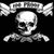 Steven Brown's profile image