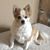 Karen E Blair's profile image