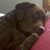 Amy Hayward's profile image