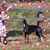 Reyna Hull-Walton's profile image